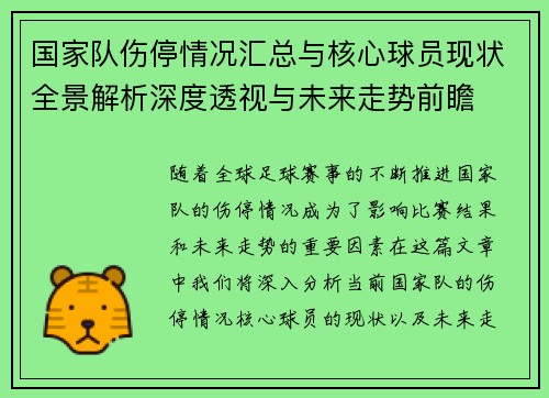 国家队伤停情况汇总与核心球员现状全景解析深度透视与未来走势前瞻